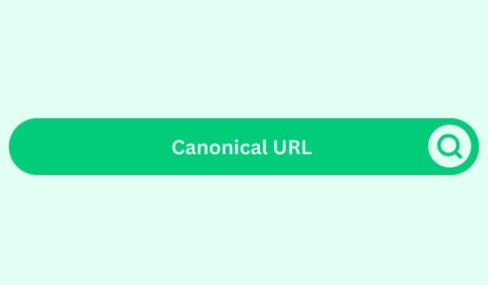 canonical url adalah