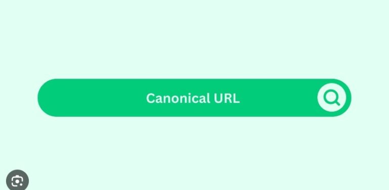 canonical url adalah